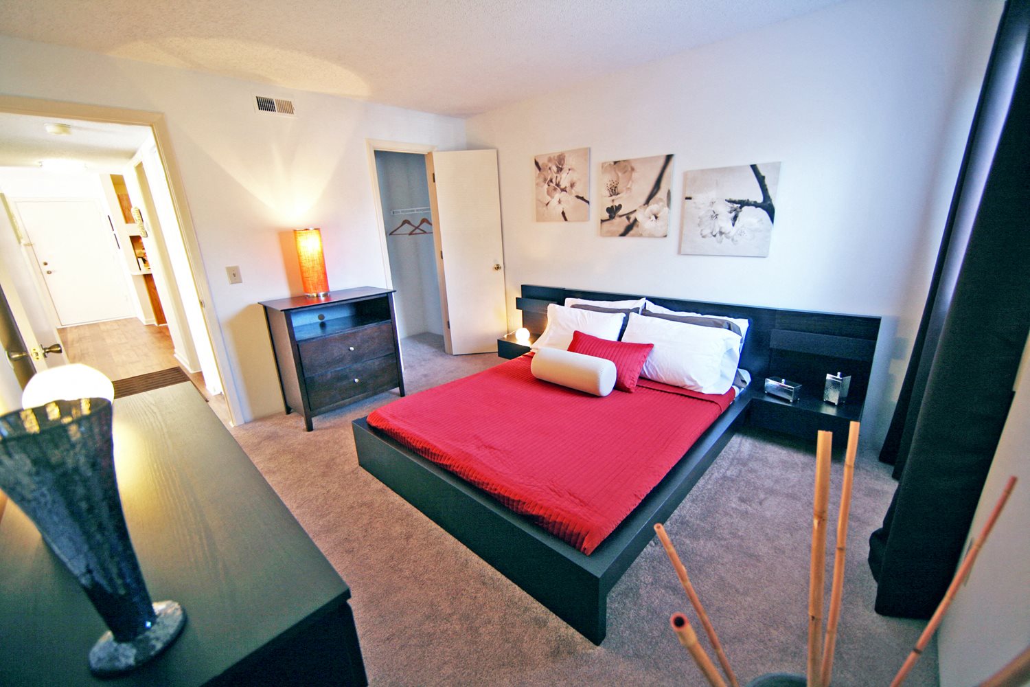Gallery Photo 12